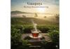 Vanaspatya Teas Officially Launches on 6th October 2025: A New Chapter in India’s Tea Culture